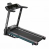 CINTA DE CORRER ALTA GAMA - ROYAL TREADMILL FORCE 350 PRO